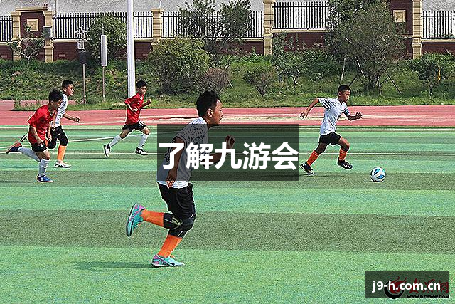 了解九游会